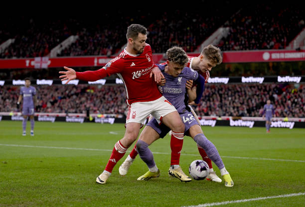 昭示了双方 昭示了双方