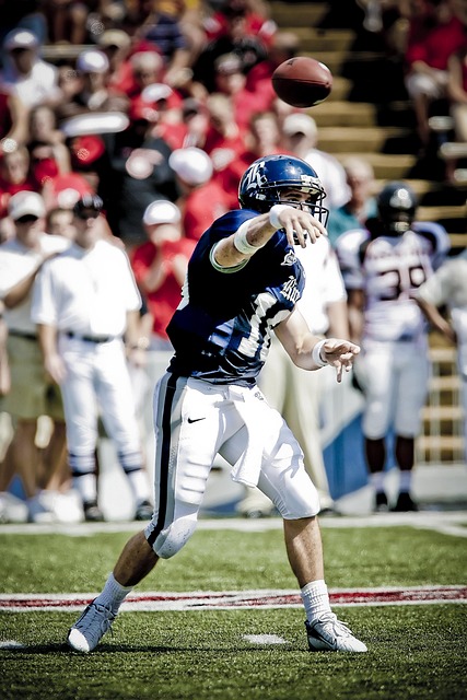 或许能弥补 或许能弥补