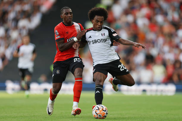 尽管输掉了 尽管输掉了